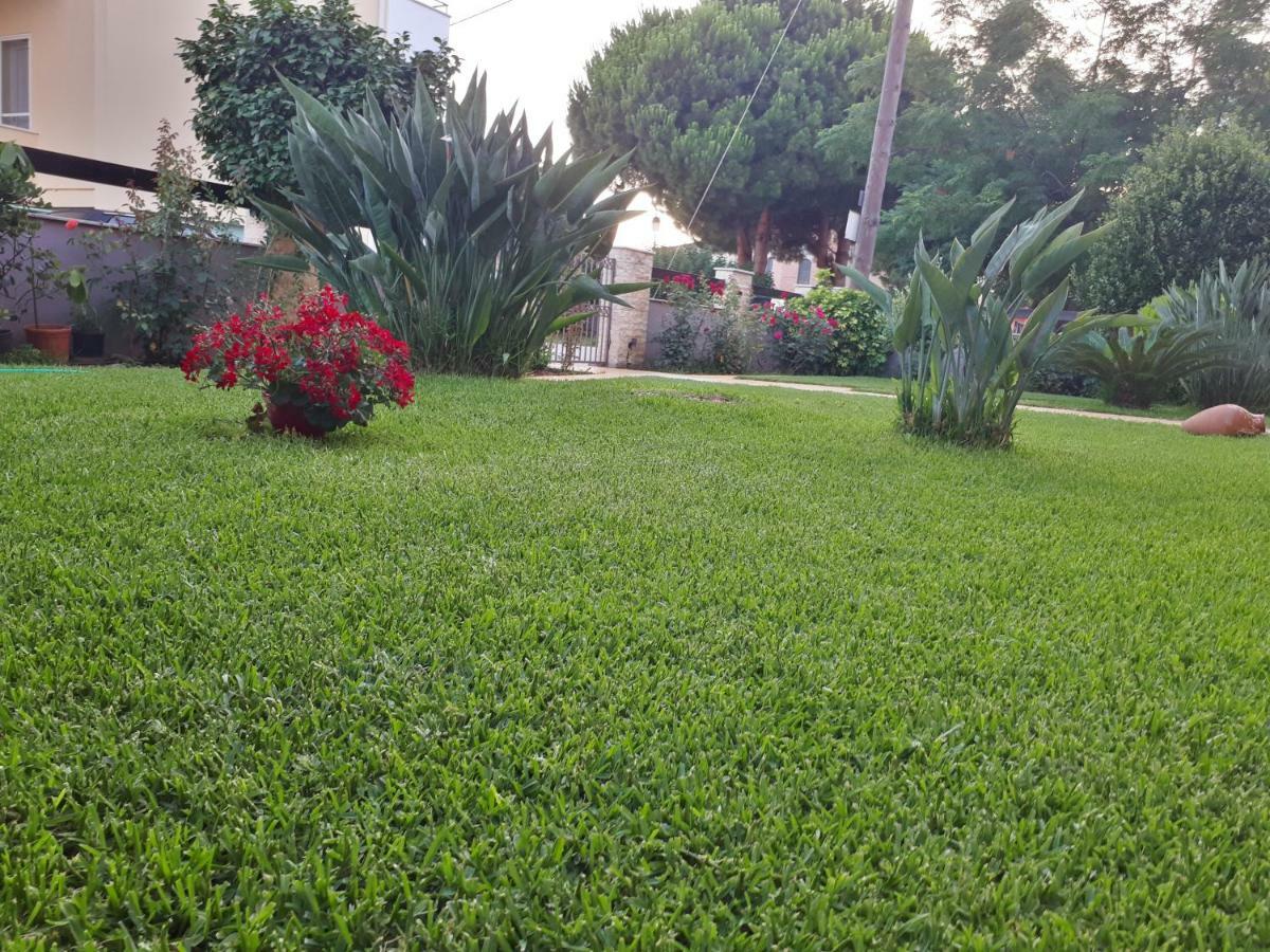 Studios Prodromidis Πρεβεζα Preveza Exteriör bild